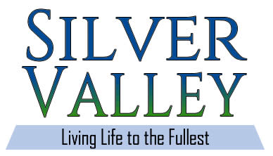 Silver Valley Apartment Application Demo